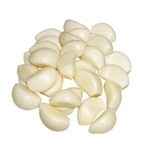 2021 Fresh New Crop Chinese  peeled Garlic Cloves 5kg nitrogen bag for Dubai market